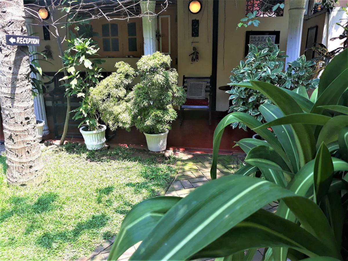 The Icebear Guesthouse เนกอมโบ ภายนอก รูปภาพ