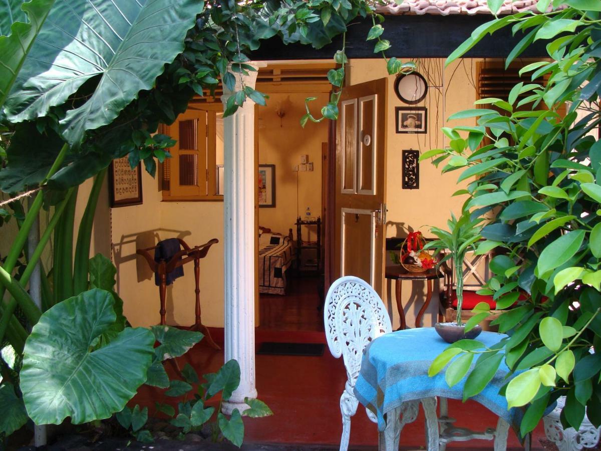 The Icebear Guesthouse เนกอมโบ ภายนอก รูปภาพ